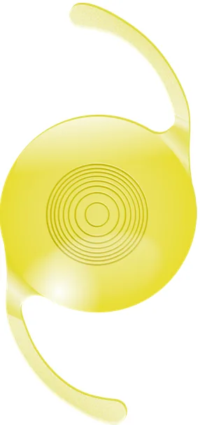 ビビネックス ジェメトリック Vivienex® Geometric
